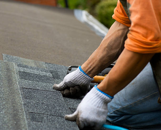 Best Commercial Roofing Services  in Reinholds, PA